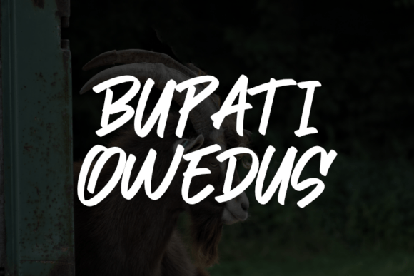 Bupati Owedus Font: A Refined Script for Editorial Design