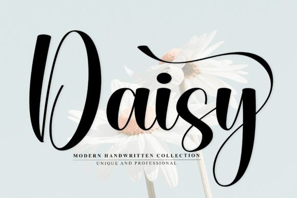 Daisy3 Font: Elevating Campaign Visuals with Elegant Script