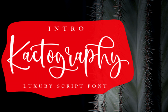 Kactography Font: Elevating Small Business Branding