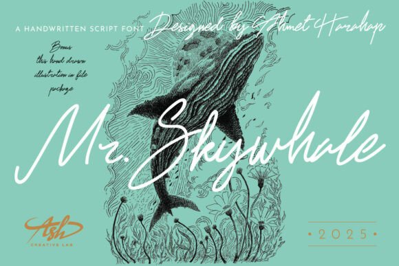 Mr Skywhale Font: Editorial Warmth and Flow