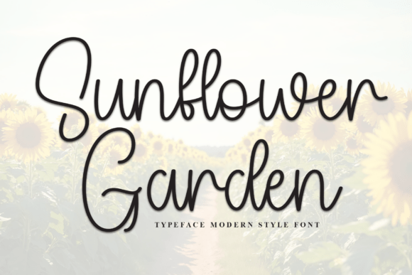 Sunflower Garden Font: A Designer’s Branding Test